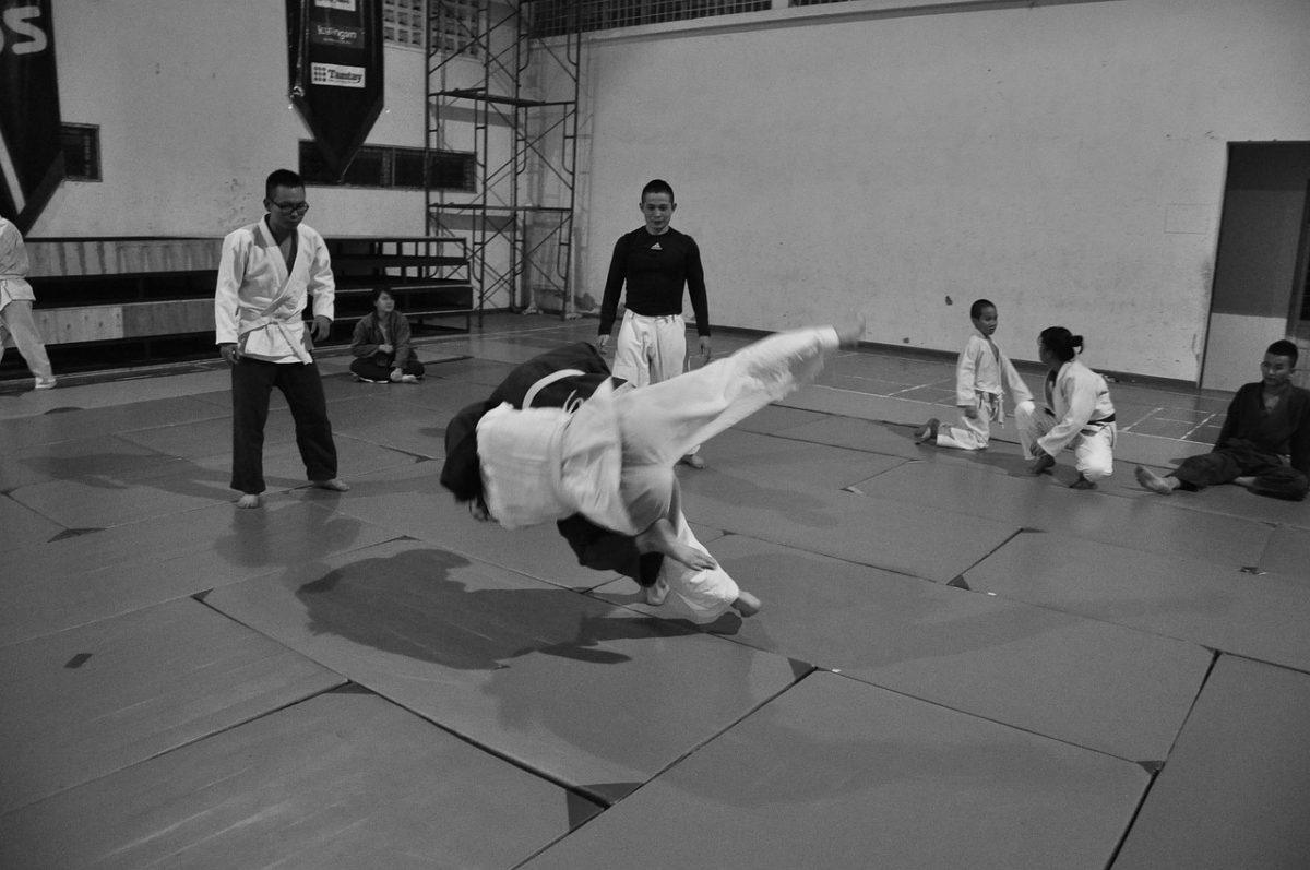 Judo vs Jiu Jitsu in MMA Differences & Similarities